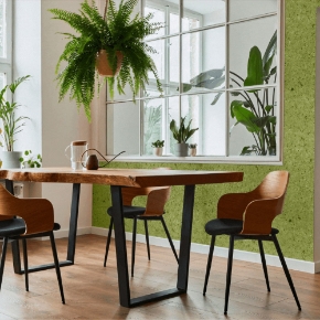 Picture for category Avery Organoid